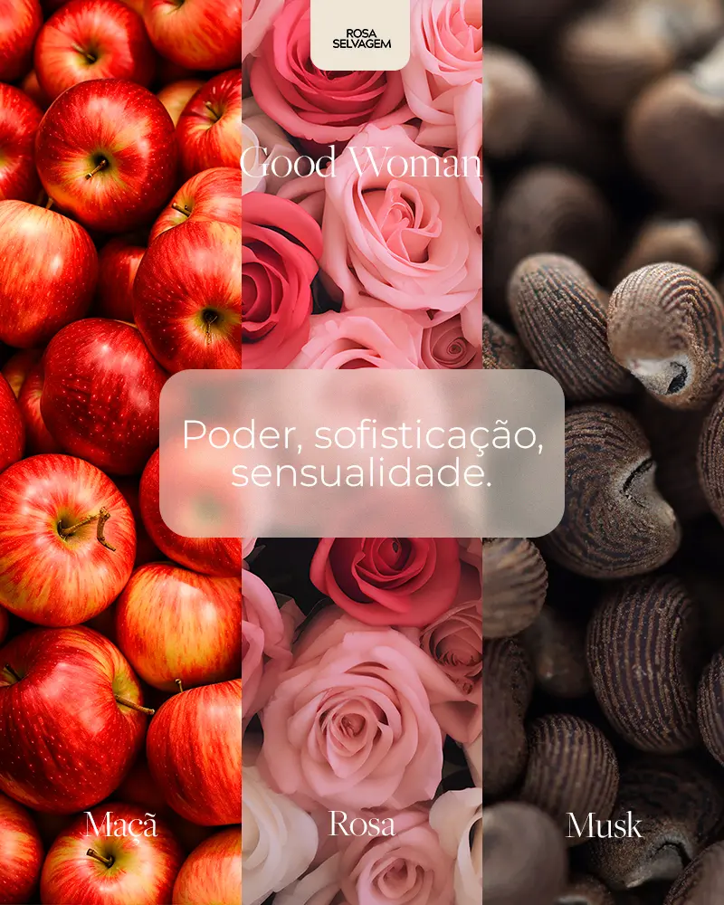 Imagem do produto 12